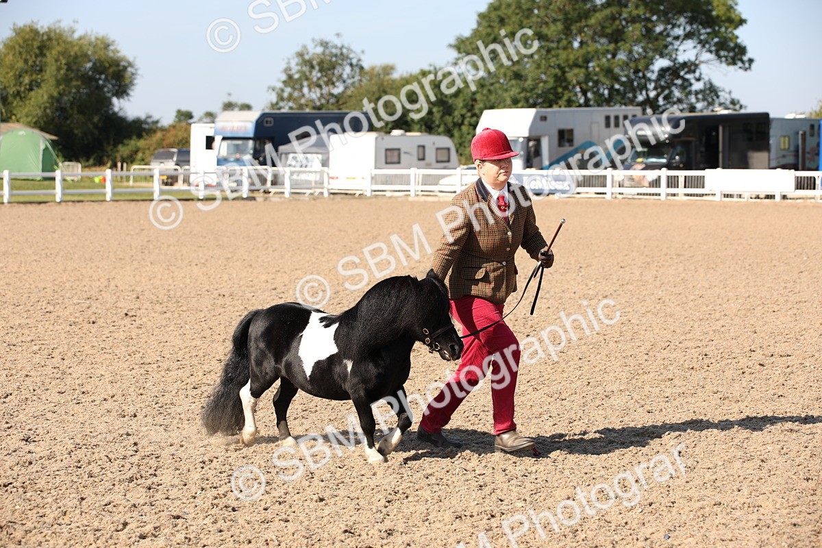 SBM_01524 - Class 15 IH Coloured