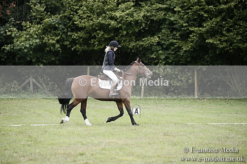 BVR080918 22 - BVRC Novice Dressage & CR 08/09/18