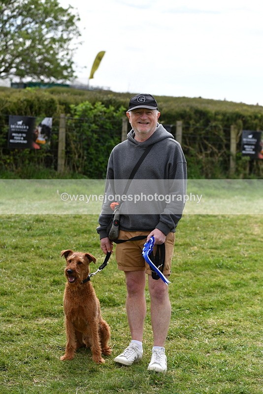 WJ5_9864 - Class 3 Most Handsome Dog