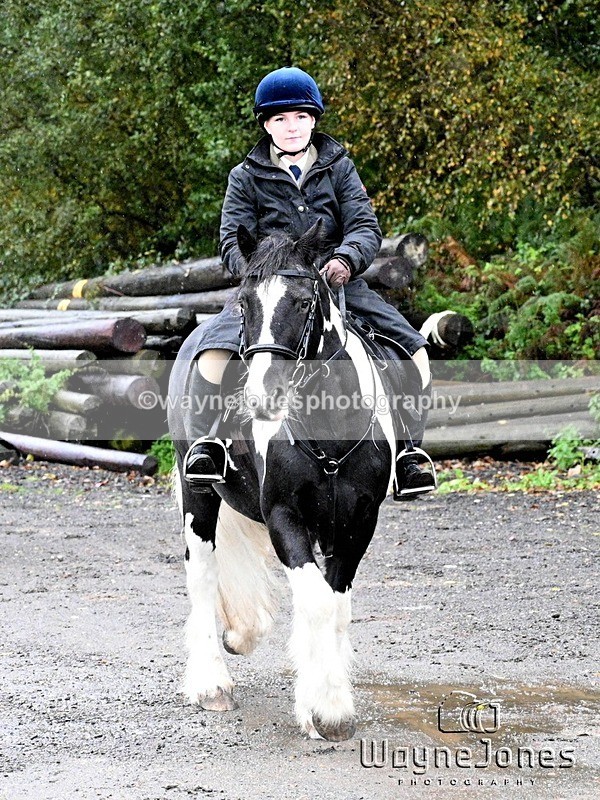 WJ7_7927 - Berks & Bucks Blackcroft Farm 20-10-24
