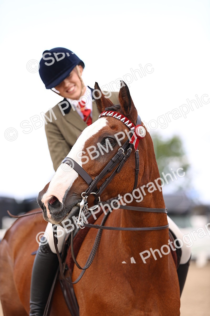 SBM_12960 - Class 410 - Grassroots Ridden - Horse