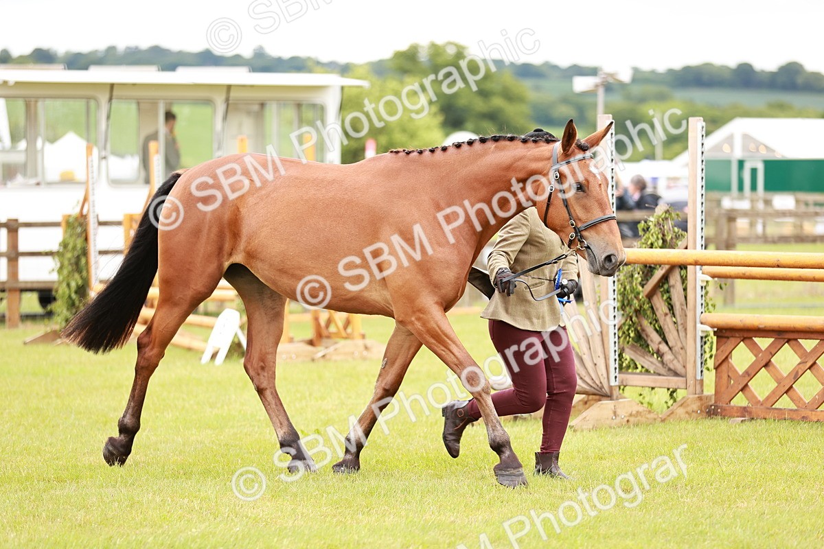 SBM_00805 - Class 26-30 Sport Horse In Hand