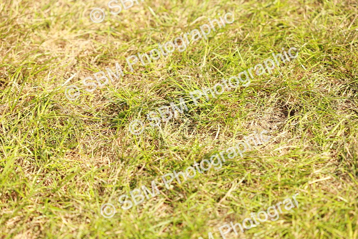 SBM_13302 - Class 70-71 - Side Saddle