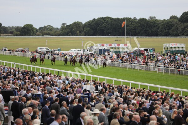 yr17082022r5-43 - Race 5 4.10pm Sky Bet Stayers Stakes