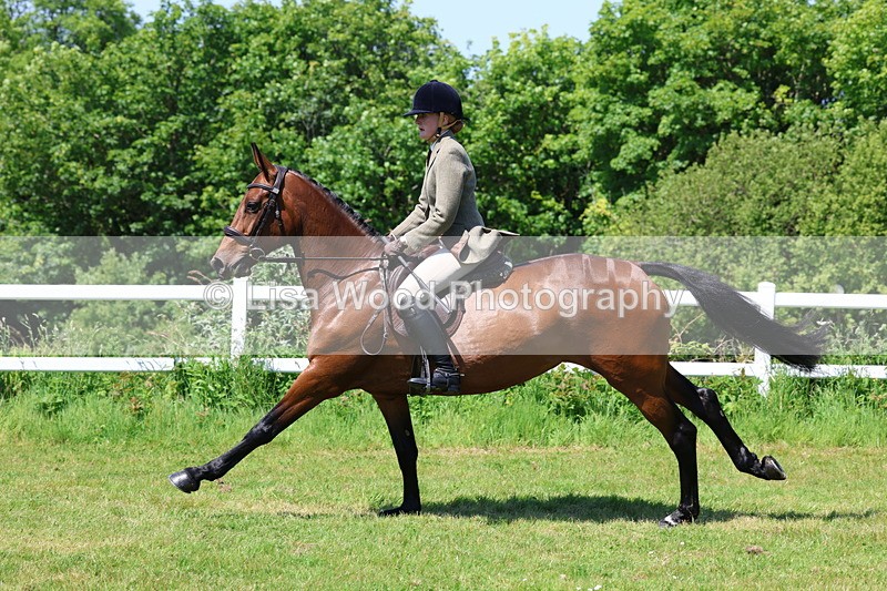 3E7A7308 - Class 30: Novice Working Hunter