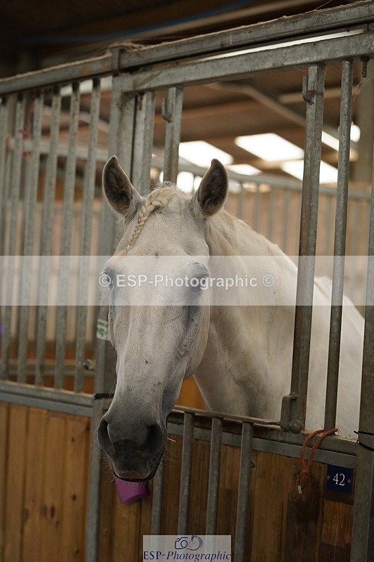 240809A-134732-01024 - Stable Shots