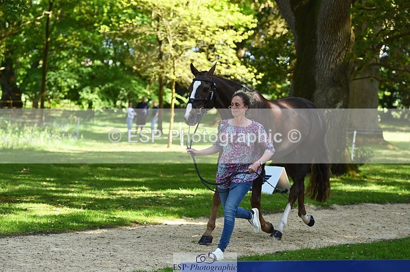 230524-154342-00460 - 376-DIRECT_BALLYTARSNA_DUCAREL-Jodie_Amos-WEDTrotUp+DR