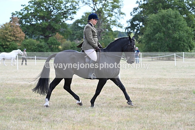 WJ7_5991 - Class 13 Ridden Veterans