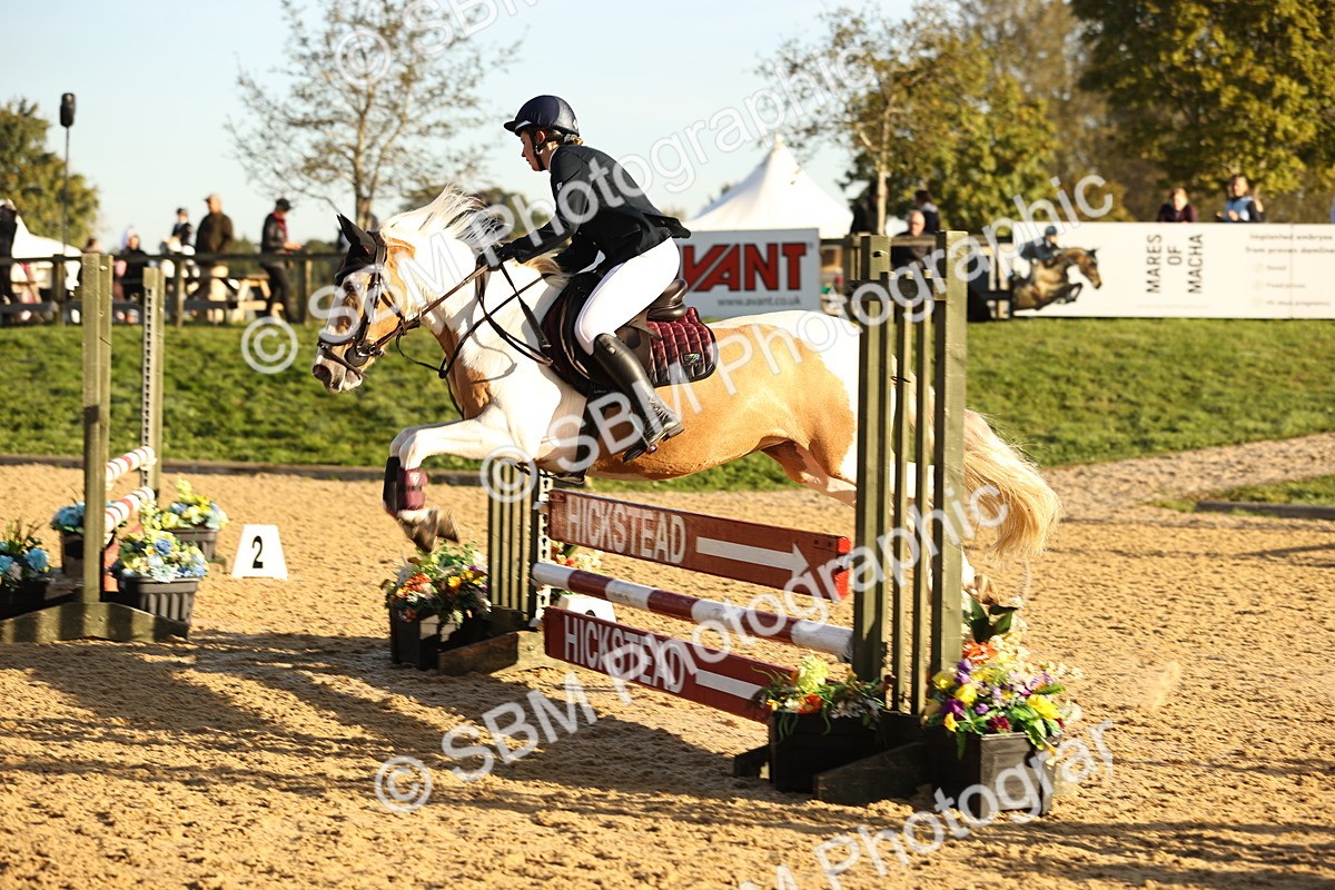 SBM_33040 - J38 - Senior 80cm Championship