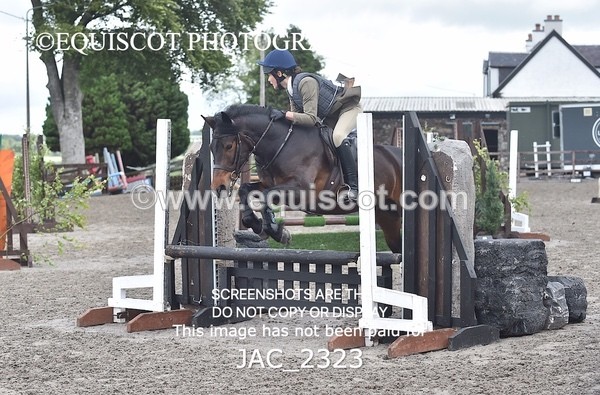 JAC_2323 - CLASS 3 Intermediate Working Hunter