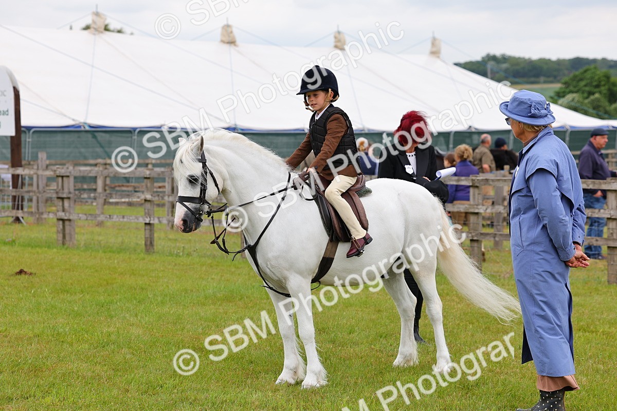 SBM_08682 - Class 42-43 - LIHS BSPS Heritage Working Sports Pony
