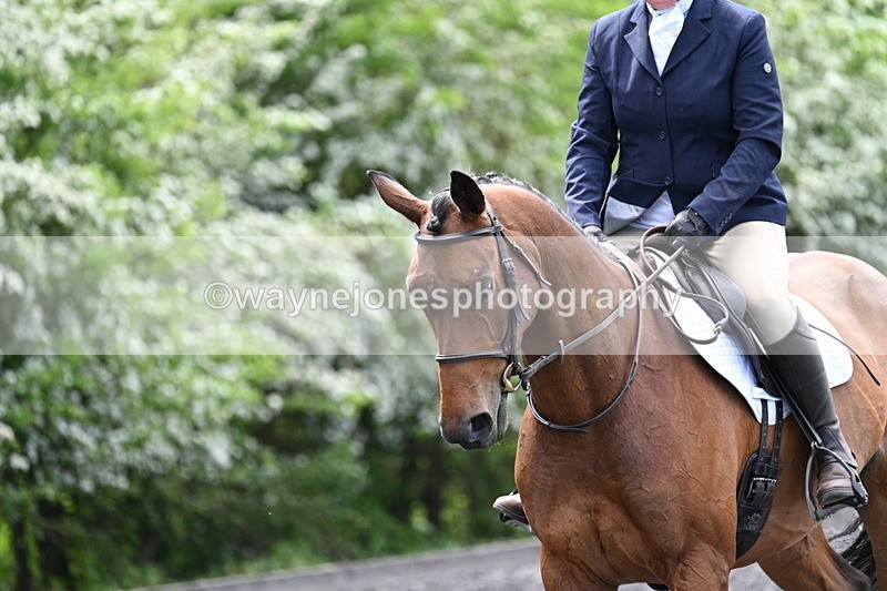 WJ7_8965 - Time 11:32 to 11:54