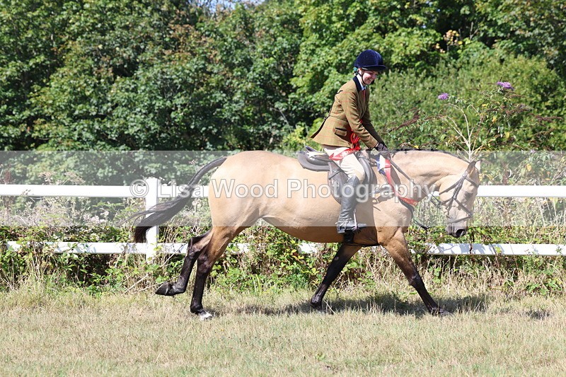 3E7A6497 - Working Hunter Championship