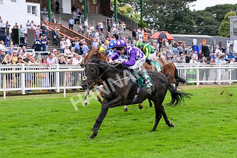 010726-Race 7-Indian Run-8893 - Race 7 16.10pm Weatherbys Global Stallions App Handicap