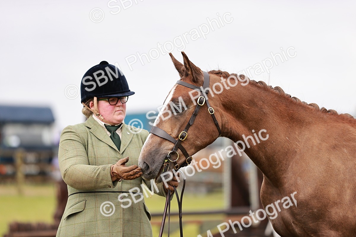 SBM_00674 - Class 26-30 Sport Horse In Hand