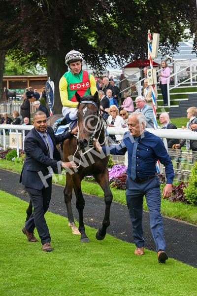 150524-Race 3-Mill Stream-4078 - Race 3 3.15pm 1895 Duke Of York Clipper Stakes