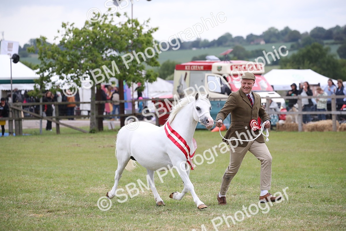 SBM_09905 - Ch 50 - Price Family Supreme In Hand