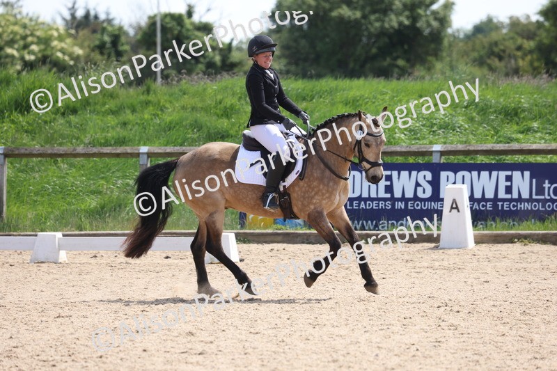 20250520-0761 - Class 4 - Novice 1