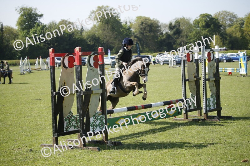 20250427-0418 - Class 12 - Rookie Jumping 40cm