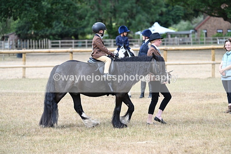 WJ7_6695 - Class 1 Lead Rein Pony