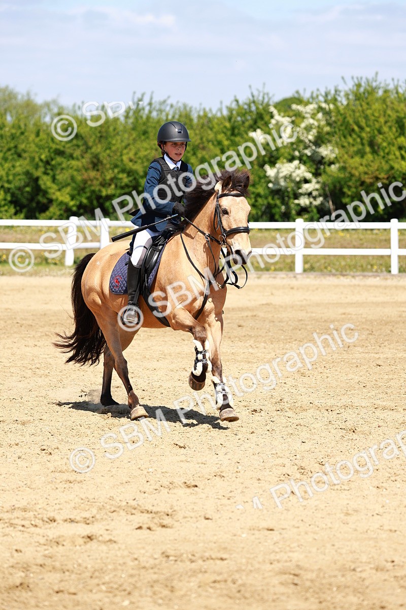 SBM_007577 - Class 3 - 60cm