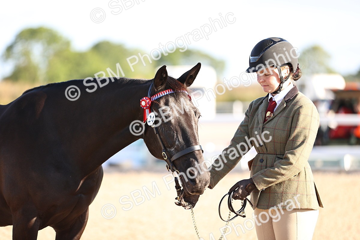 SBM_08364 - Class 401 - IH Veteran Horse