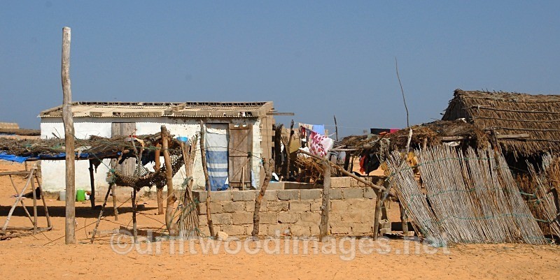 Senegal Fulani Senegal village general view 7 - Senegal Fulani Village