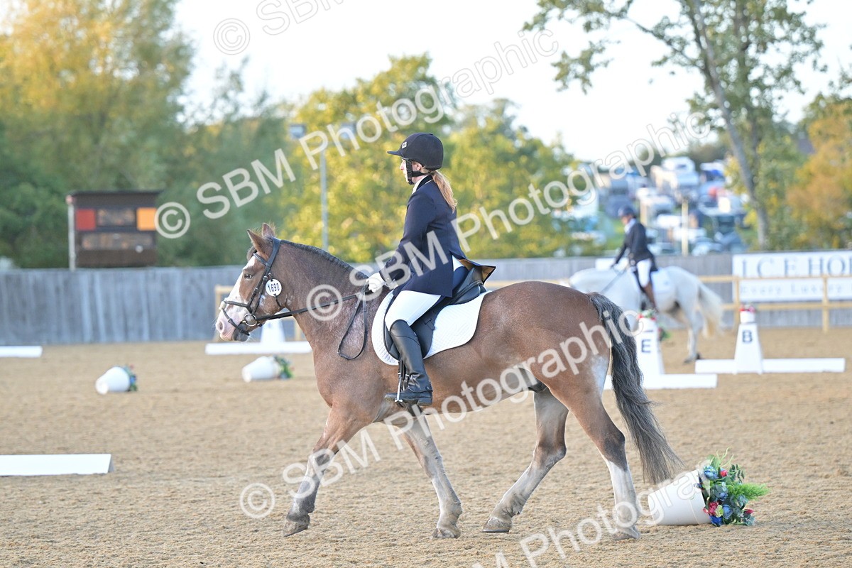 SBM_13543 - D3 - Small Tour Championship Intro 3