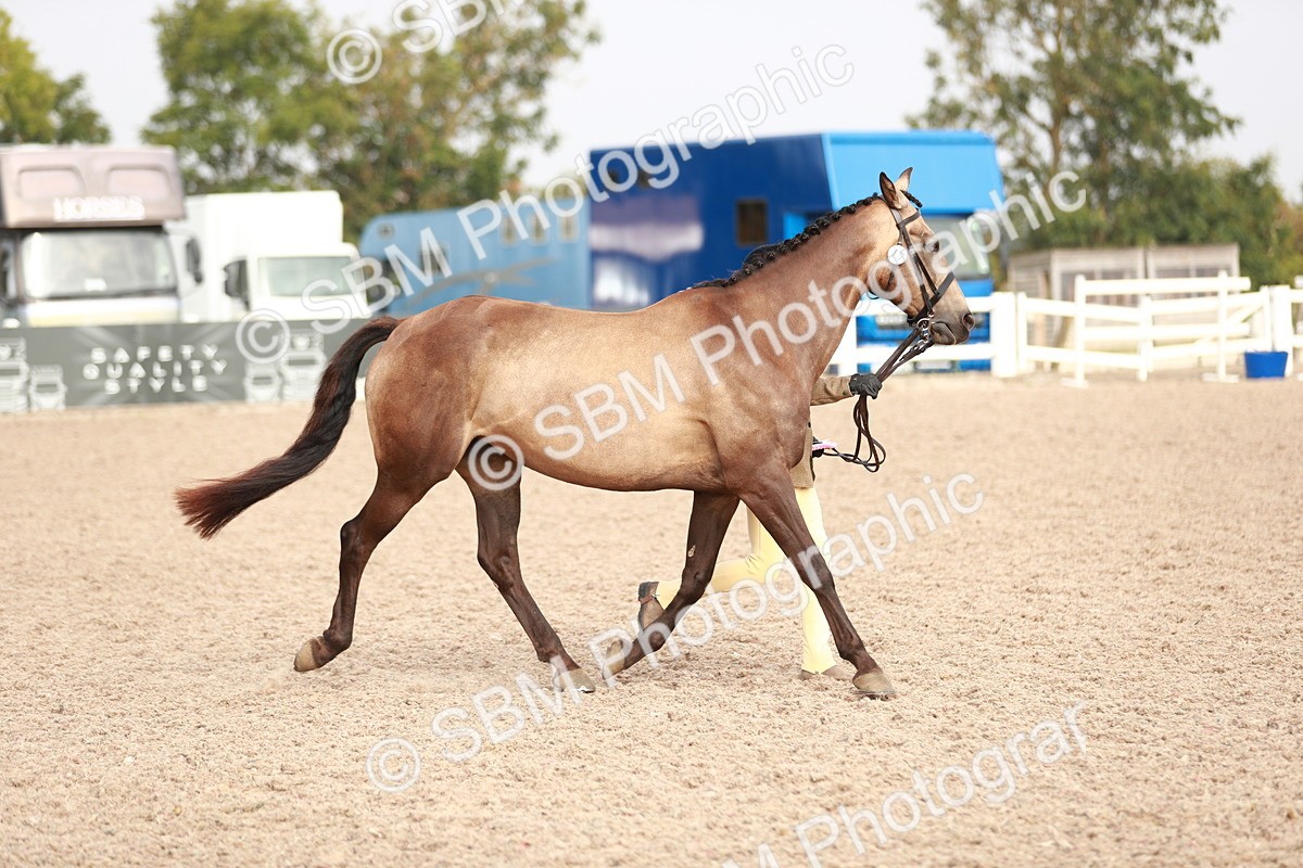 SBM_10643 - Class 204 Young Handler, 11-16 years