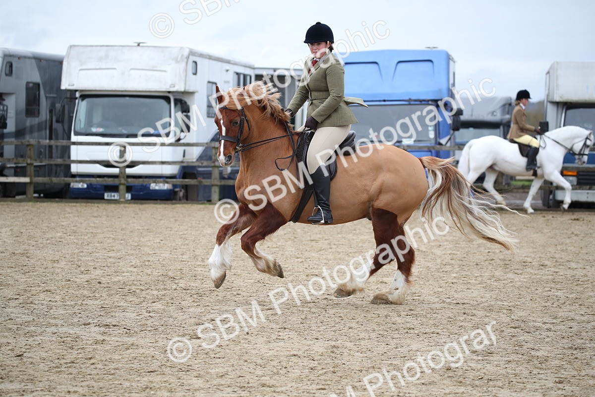 SBM_006137 - Class 10-13 - RIHS Small Large Breeds