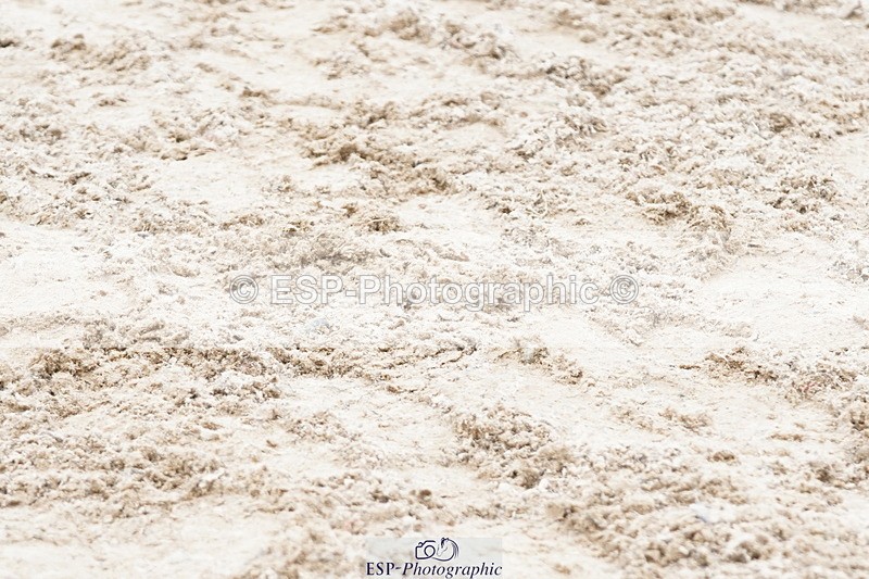 250420A-111124-00490 - Cls 03 80cm