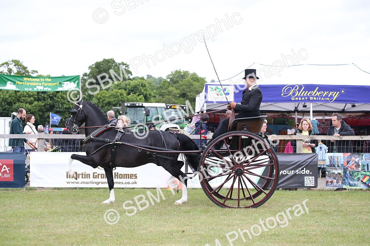 SBM_05801 - Class 12-15 - HOYS Private Driving
