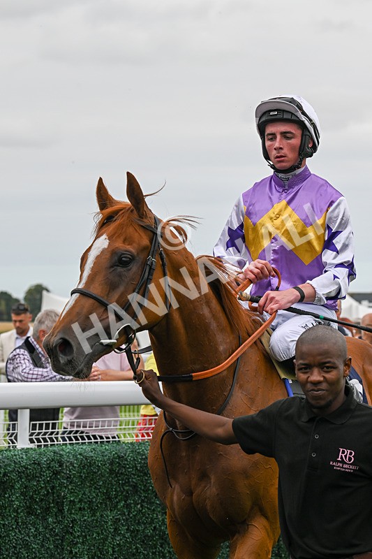 140824-Race 2-Stanhope Gardens-6098 - Race 2