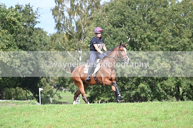 WJ7_1994 - Time 13:17 to 13:53