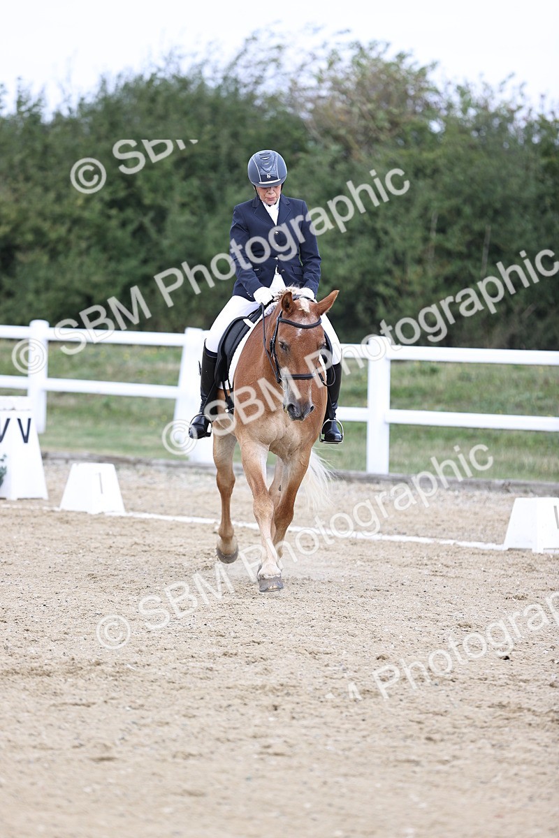 SBM_016762 - Class 14 Novice 23 - 11.53-12.56