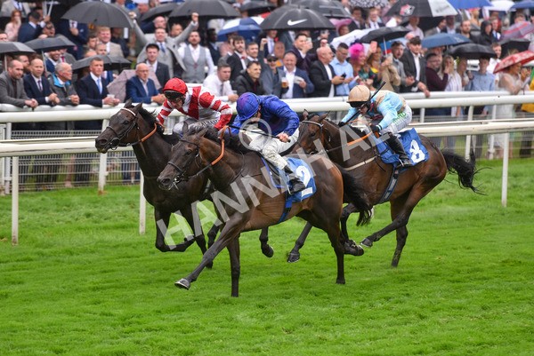 yr21082021r6-32 - Race 6 4.45pm Sky Bet Stakes