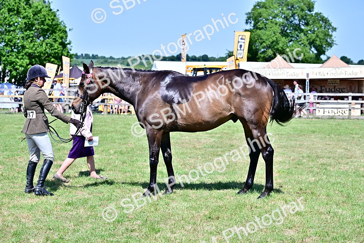 SBM_18236 - Class 99-100 - Retraining of Racehorses Ridden