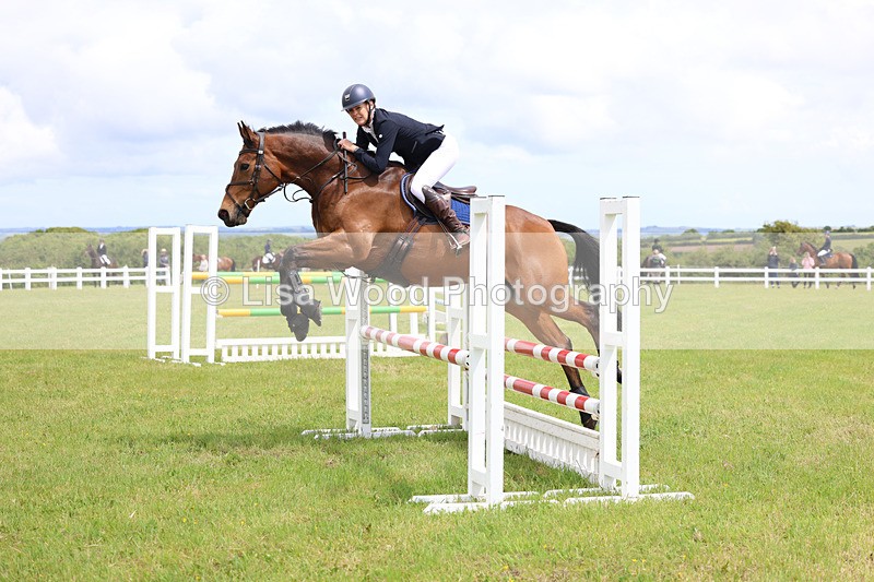 3E7A7281 - Class 13: Senior British Novice/90cm open