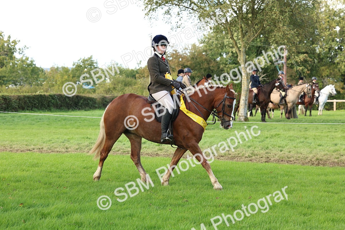 SBM_46361 - Working Hunter Pony Supreme Championship