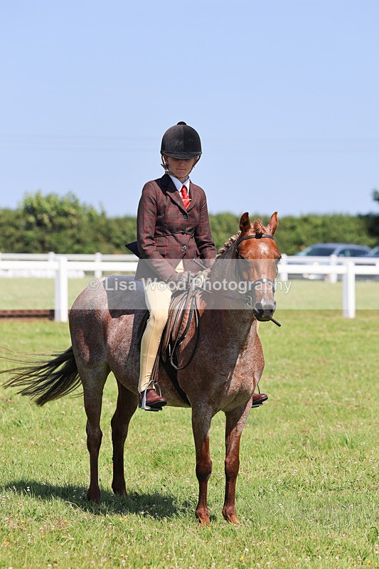 IMG_2057 - Class 34: Show Hunter Pony 153cm and under