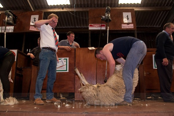 8 - Shearing Competition