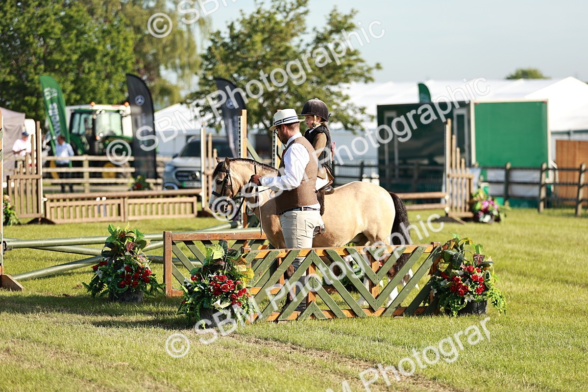 SBM_11085 - Class 106-107 - BSPS LIHS Working Sports Pony