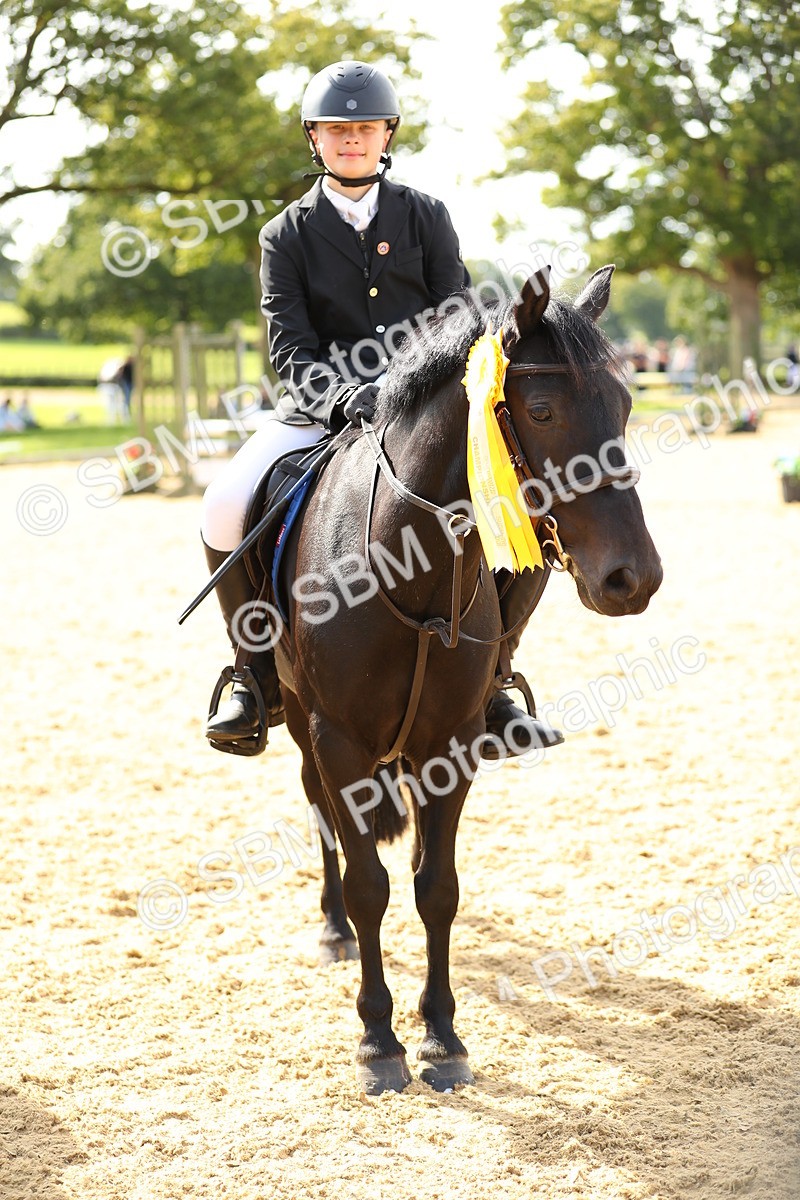 SBM_68033 - J17 - Junior Pony 80cm Championship
