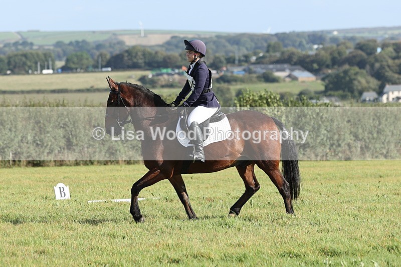 JPP_7933 - Class 2A: Trekenning Open: Dressage