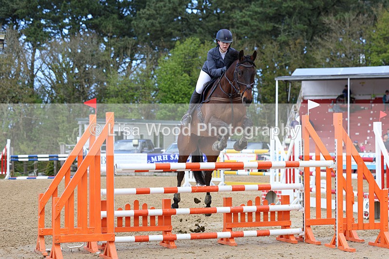 3E7A2066 - Class 8: Senior Foxhunter/1.20 open