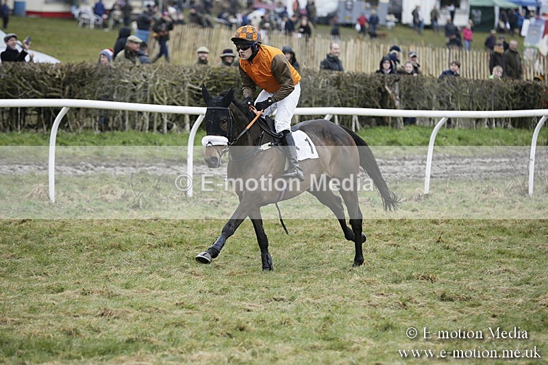 PtP 020418 -420 - Old Berks Point-to-Point Races Easter Monday 02/04/18