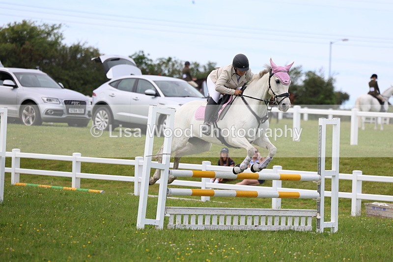 3E7A1764 - Class 13: Senior British Novice/90cm open