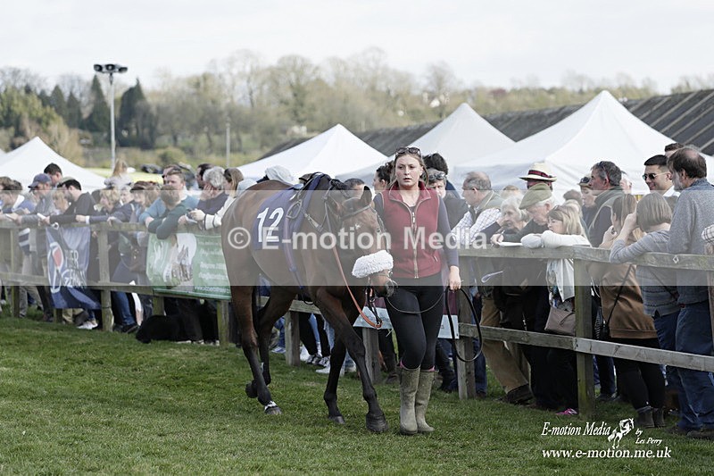 PtP 080423 469 - Dingley Races The Woodland Pytchley Hunt PtP 08/04/23