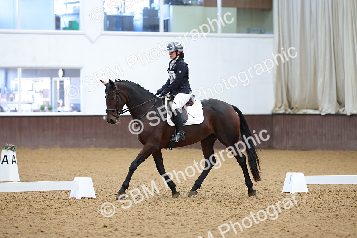 SBM_002751 - Novice