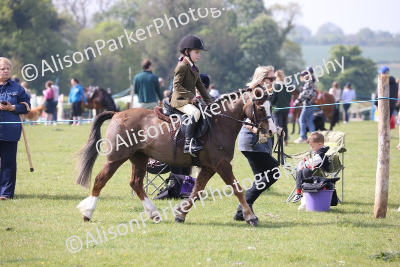 20260426-2526 - Class 31 - Leading Rein